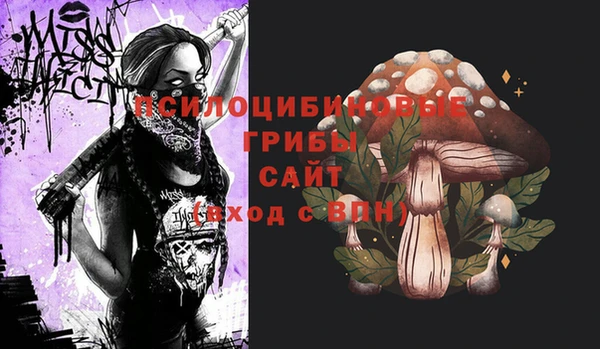 соль курить ск Алексин